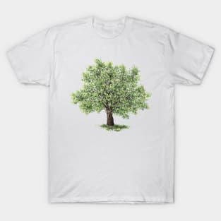 July birthday walnut tree T-Shirt